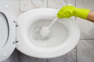 Как чистить ершик для унитаза и зачем это делать?