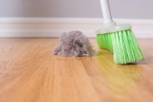 Как избавиться от пыли в квартире: действенные методы