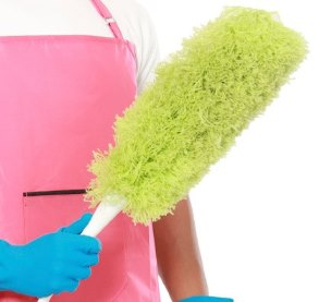 Как мыть москитную сетку: полезные советы по чистке москита