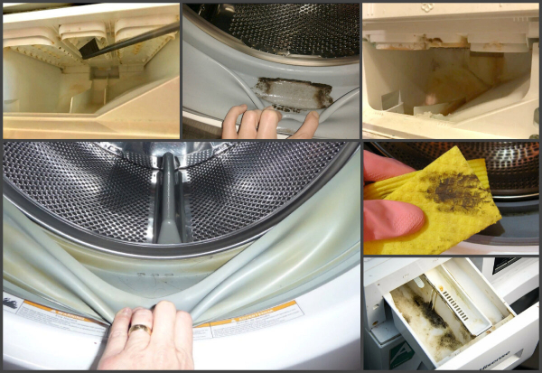 Устраняем плесень в стиральной машине быстро и эффективно