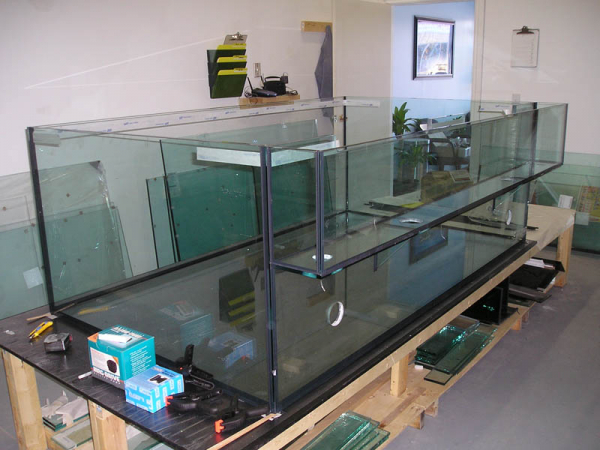 Индивидуальный аквариум: преимущества индивидуальных решений